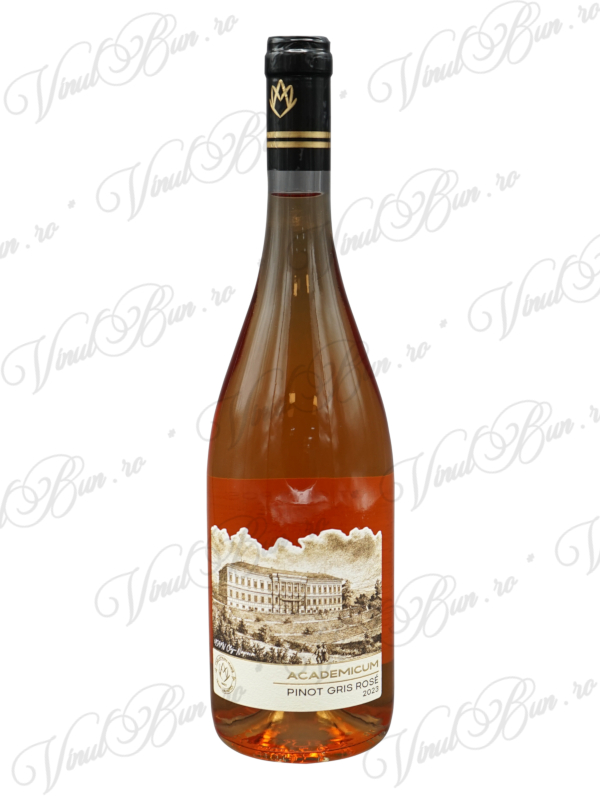 Vin Vinea Apoldia Maior Academicum Pinot Gris Rose DOC CMD Sebes Apold 2023